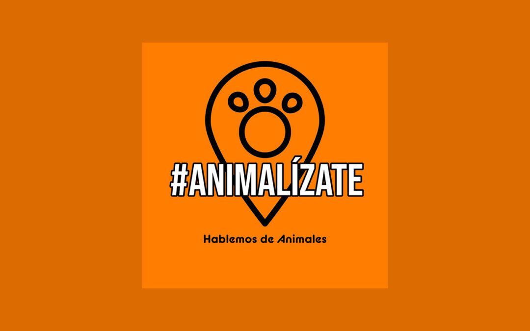 #ANIMALÍZATE